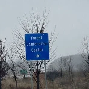 A blue city traffic sign indicating to turn right for the Forest Exploration Center