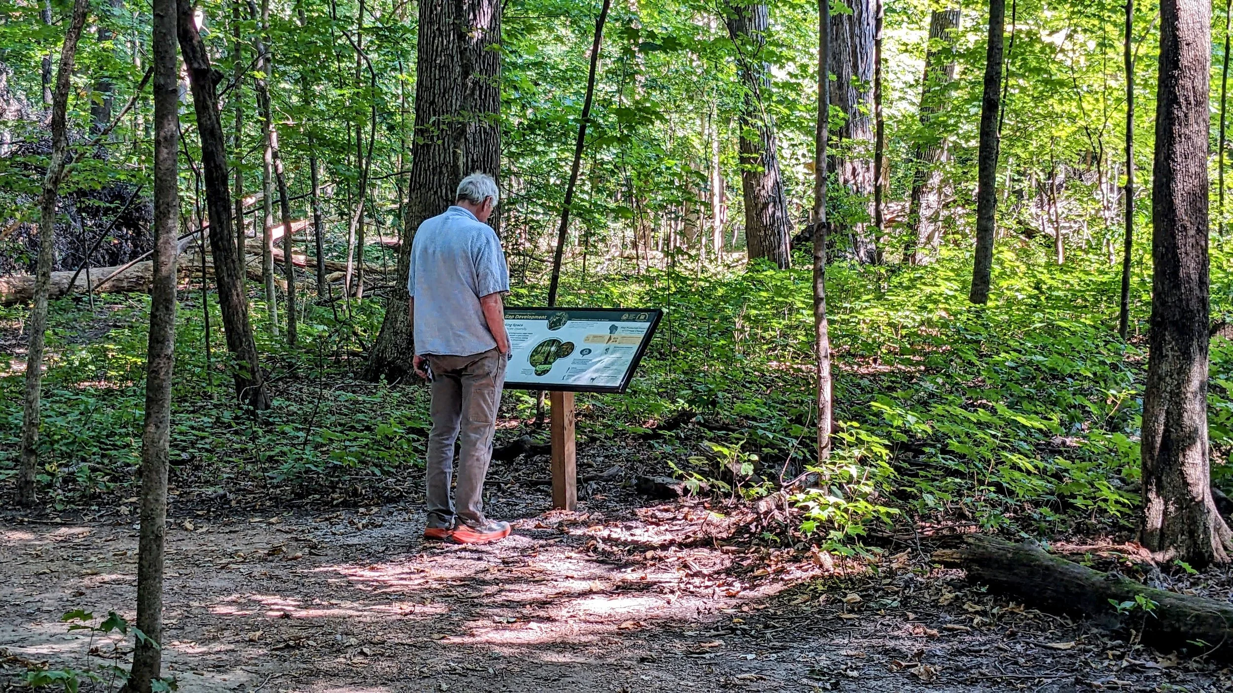 A man reads an interpretive panel in front of the gap development demonstration area.