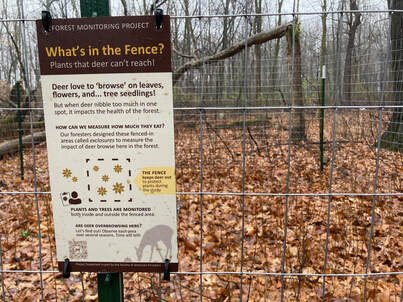 A close up of the deer exclosure fencing and sign explaining its purpose. Autumn leaves are on the ground.