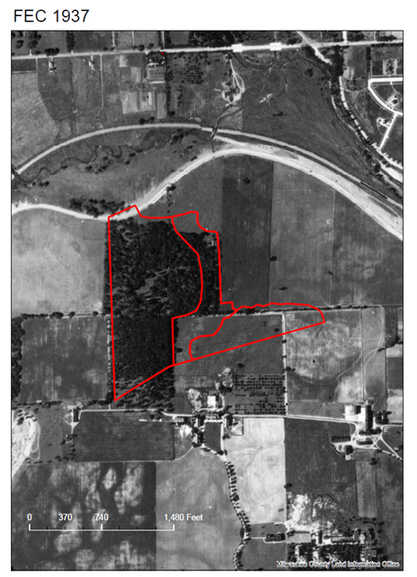 Aerial view of the Forest from 1937