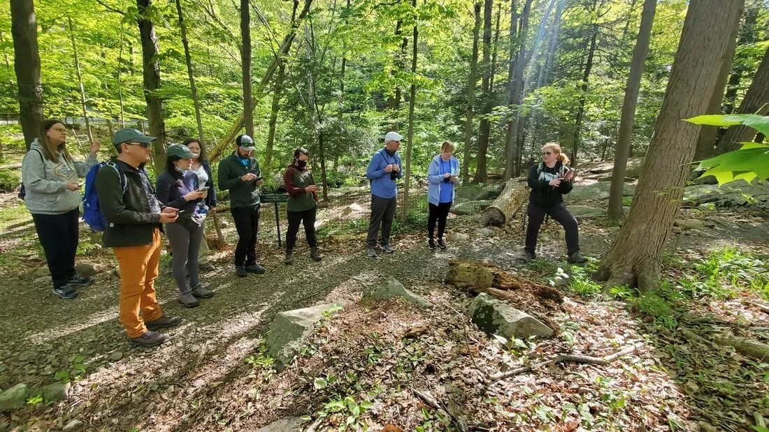 A group of people doing trail work in the Forest on a sunny day