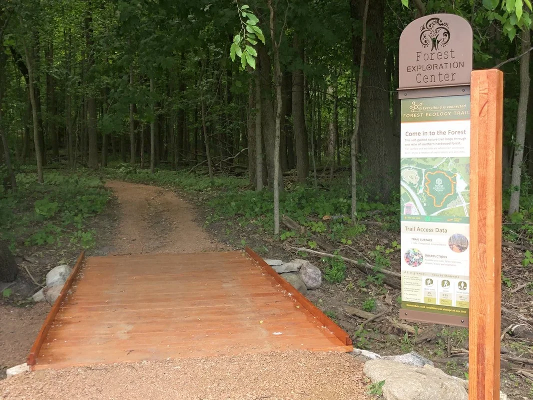 One of the two wooden boardwalks within the forest