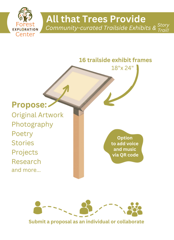 A graphic showing the dimensions and options for exhibits along the Forest Community Curated Trail Spur