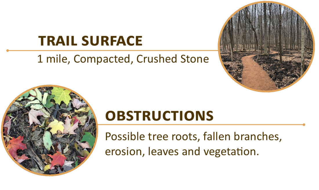 Trail surface: 1 mile, compacted crushed stone. Obstructions: possible tree roots, fallen branches, erosion, leaves, and vegetation