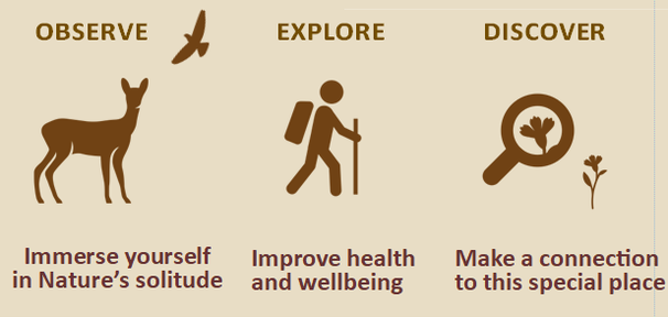 Icons of a deer, a bird, a hiker, and a magnifying glass looking at a flower. Text: Observe, explore, Discover