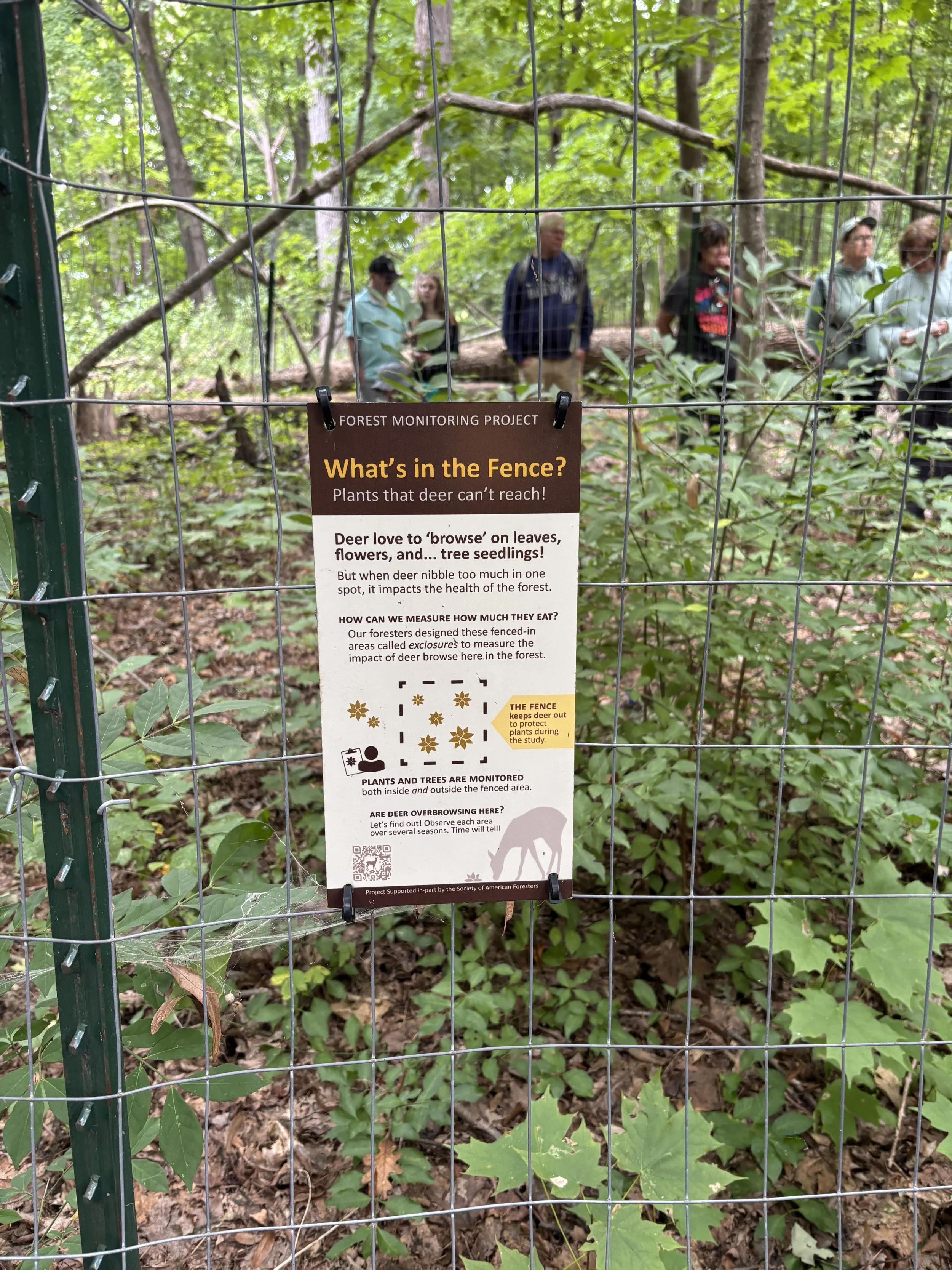 The deer exclosure with close up of the fencing and an interpretive sign explaining its purpose. Maple and other plants are growing inside the fence.
