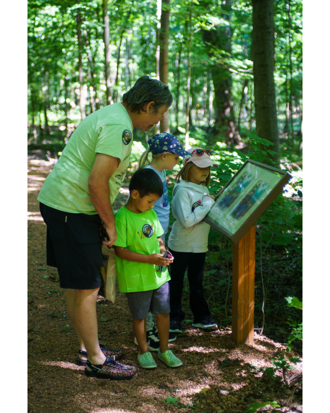 A man and three young children in the Forest in summer reading a page of the Storywalk display