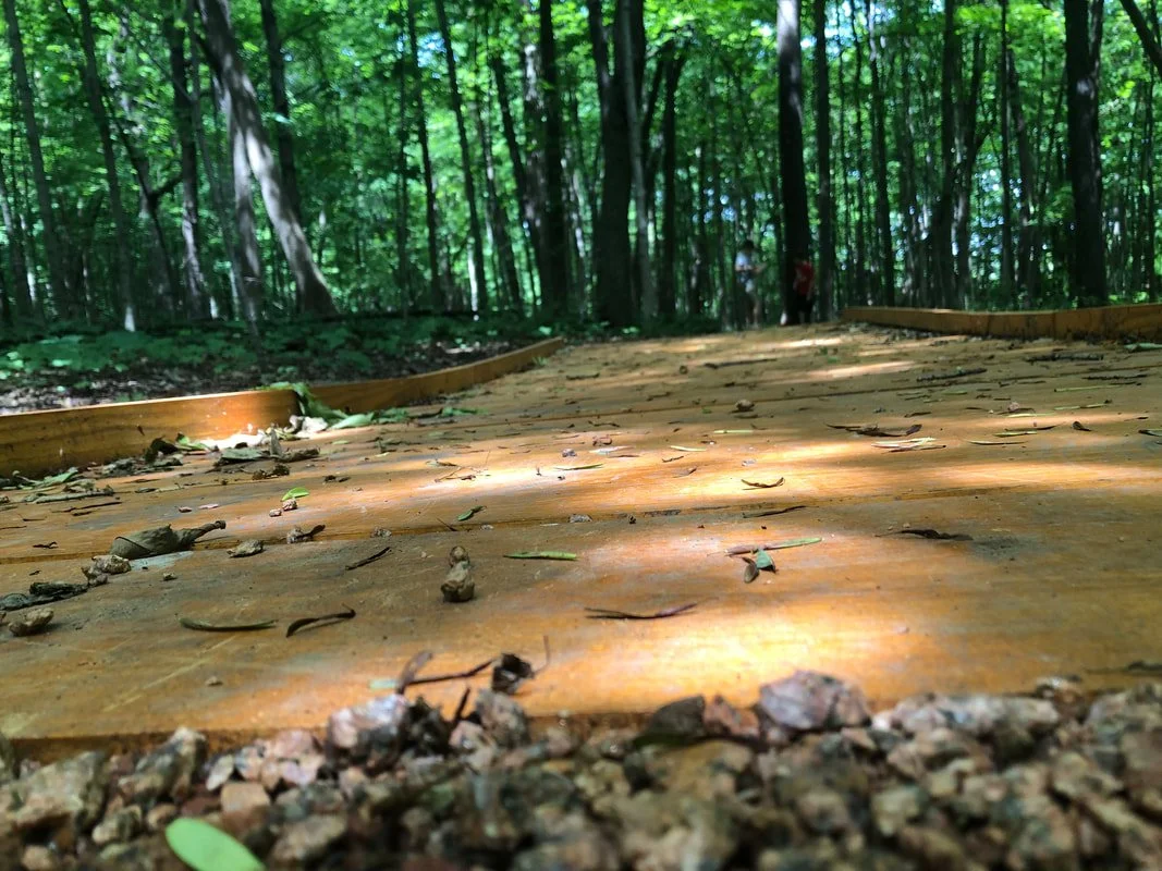The wooden boardwalks