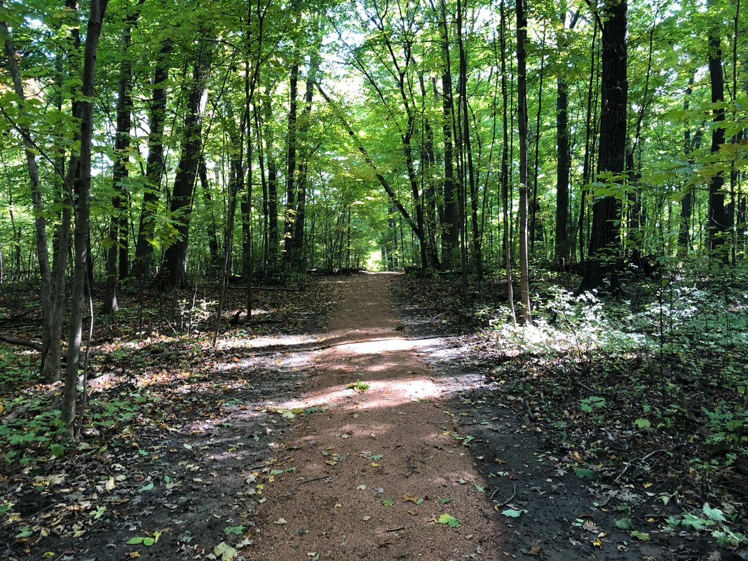 A nice section of shaded trail