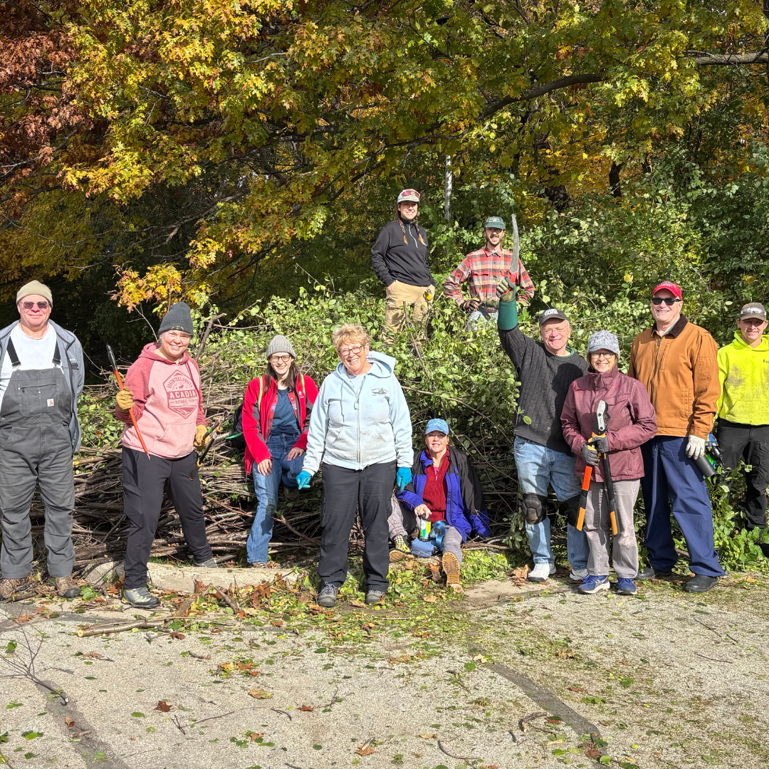 A group of volunteers stand in front of and on top of a pile of buckthorn they removed from the Forest Exploration Center entrance next to Wil-O-Way Underwood in Wauwatosa