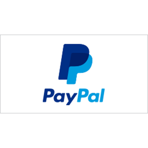 PayPal logo with blue 'P' symbol and company name