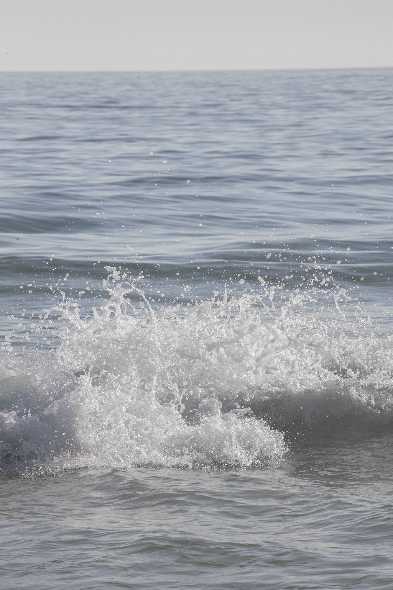 IMG_9895baja.jpg