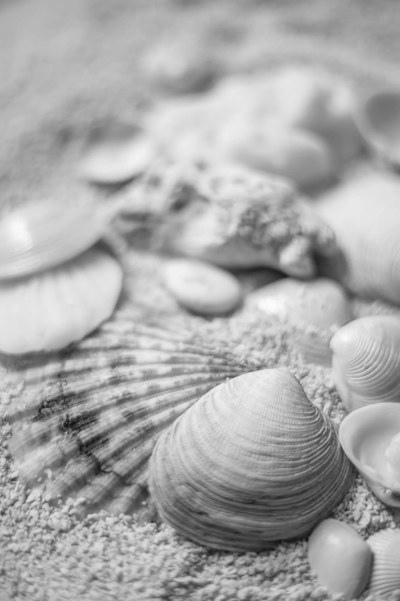 3_BAJA_WEB.jpg