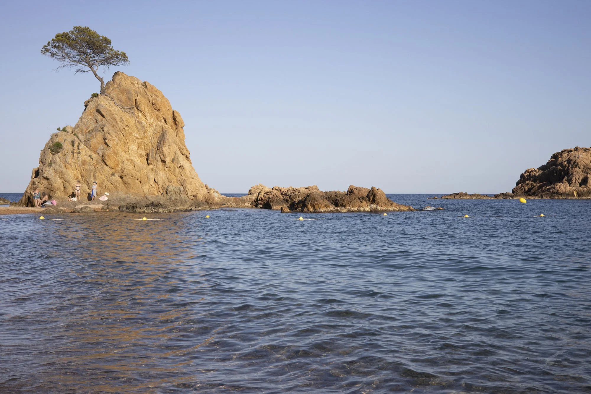 IMG_8614baja_WEB.jpg