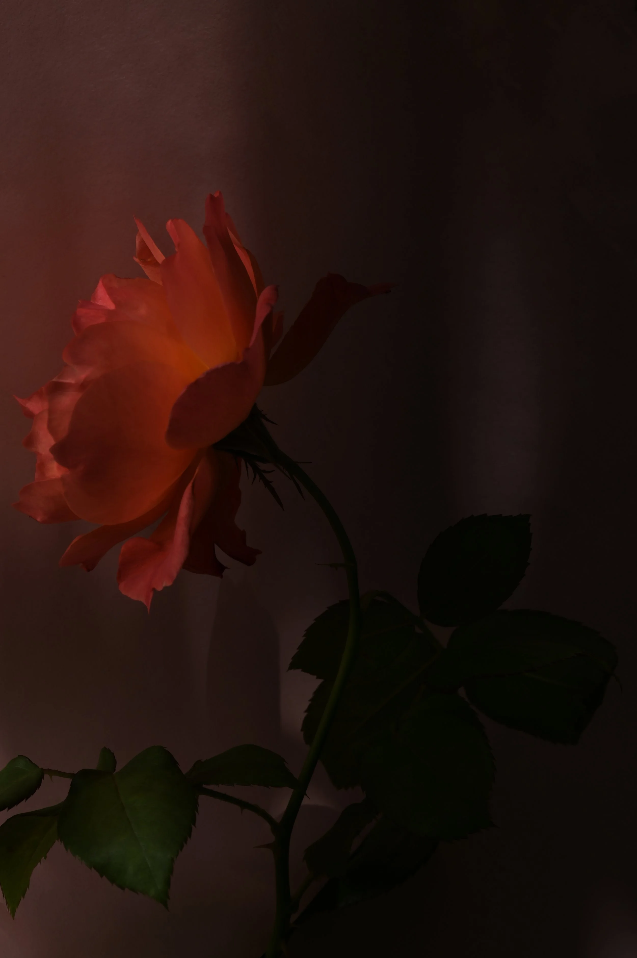 PMF_7627.jpg