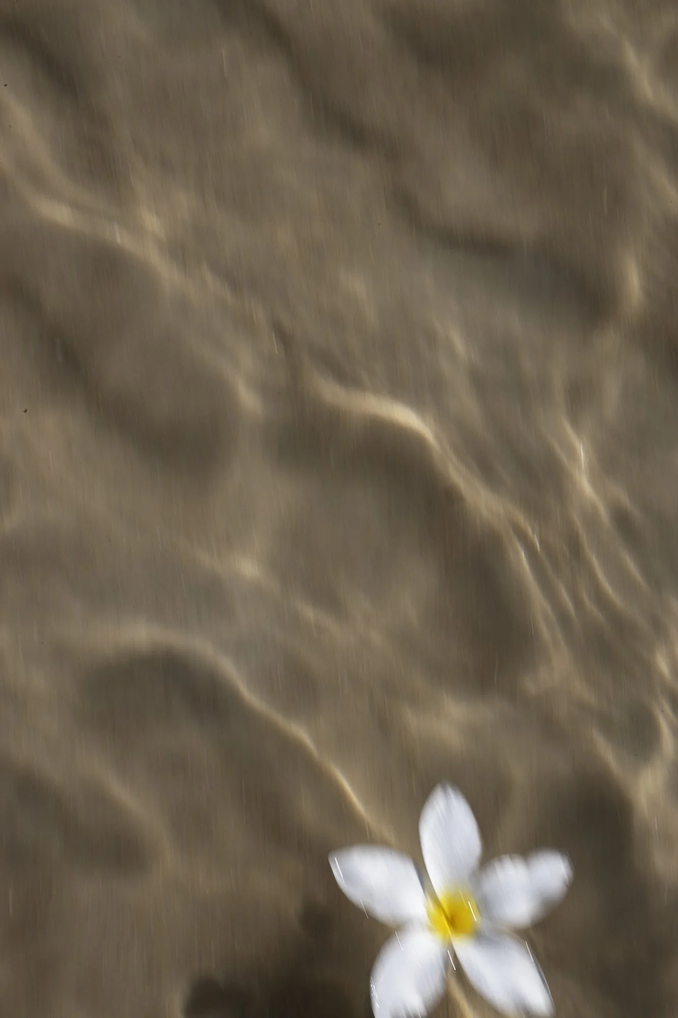 IMG_9019_baja_verweb.jpg