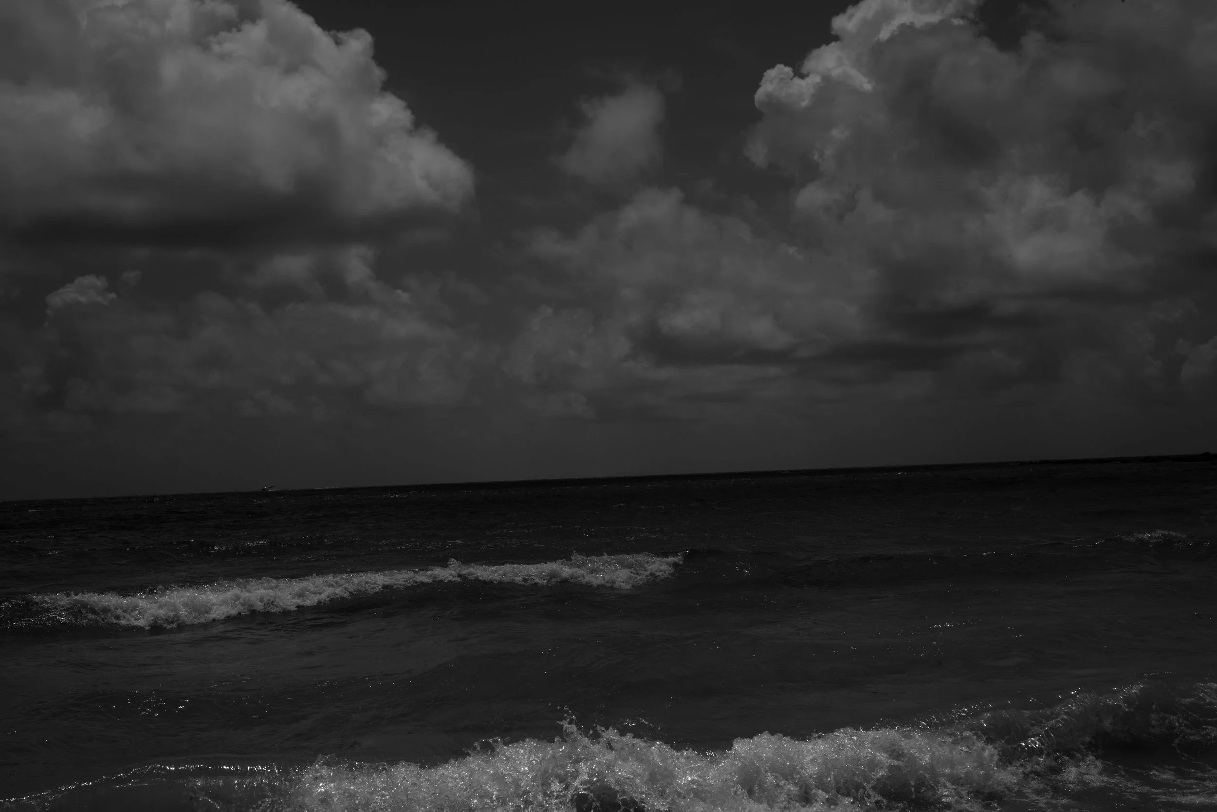 IMG_8039.jpg