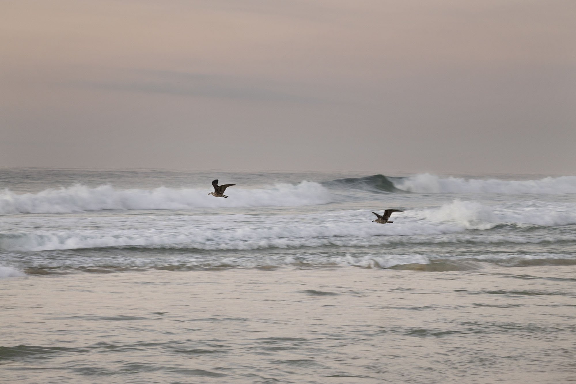 IMG_8552_BAJA_WEB.jpg