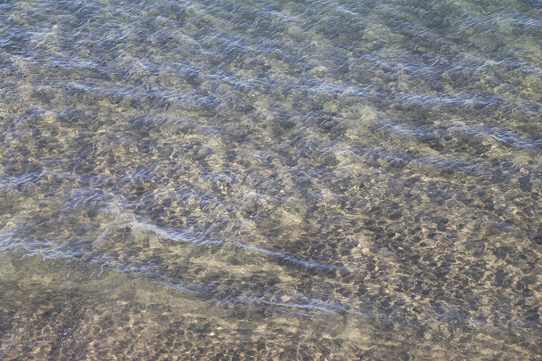 IMG_3885_BAJA_WEB.jpg