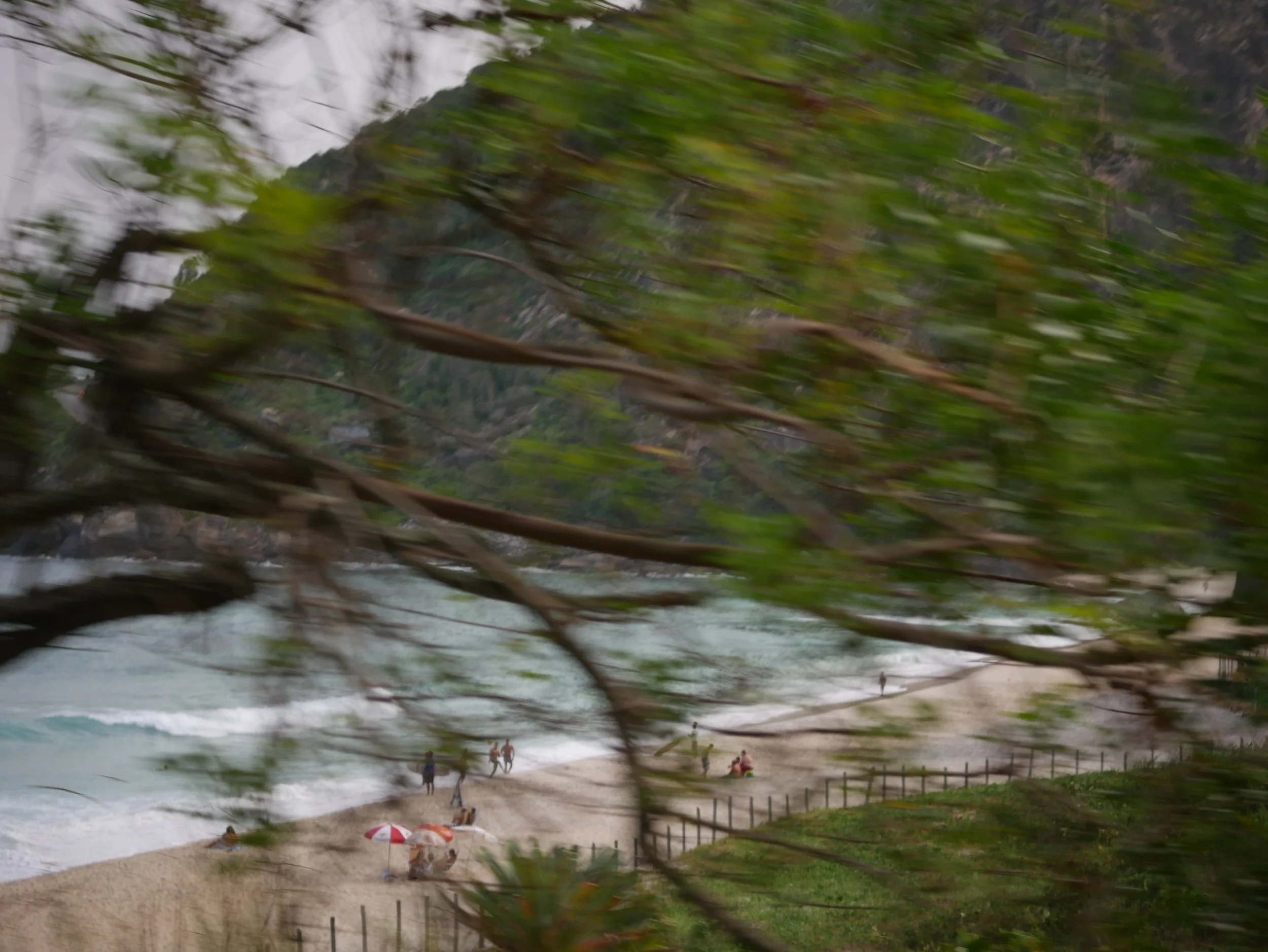 Vista de una playa con personas, sombrillas y árboles, con montañas al fondo, vista parcialmente obstruida por ramas y hojas.