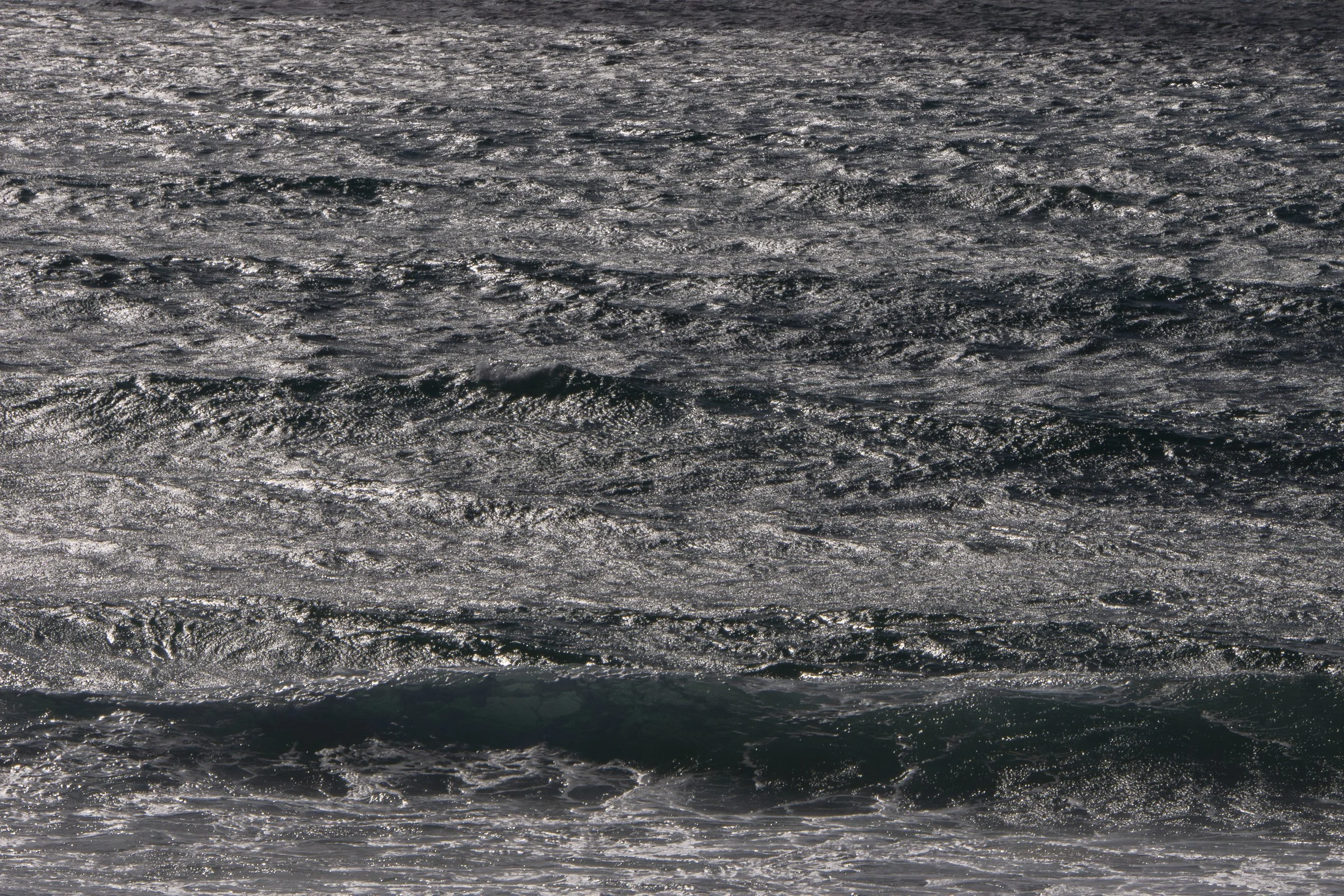 P1310089.jpg