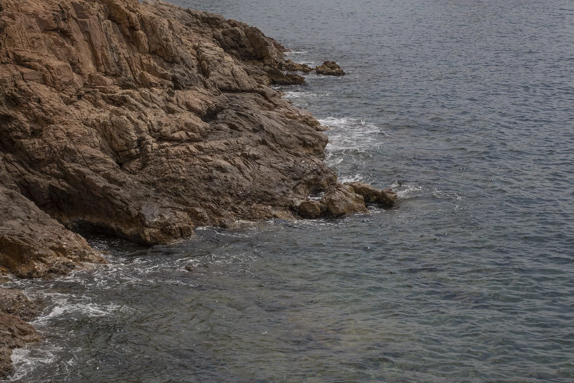 IMG_9154_BAJA_WEB.jpg