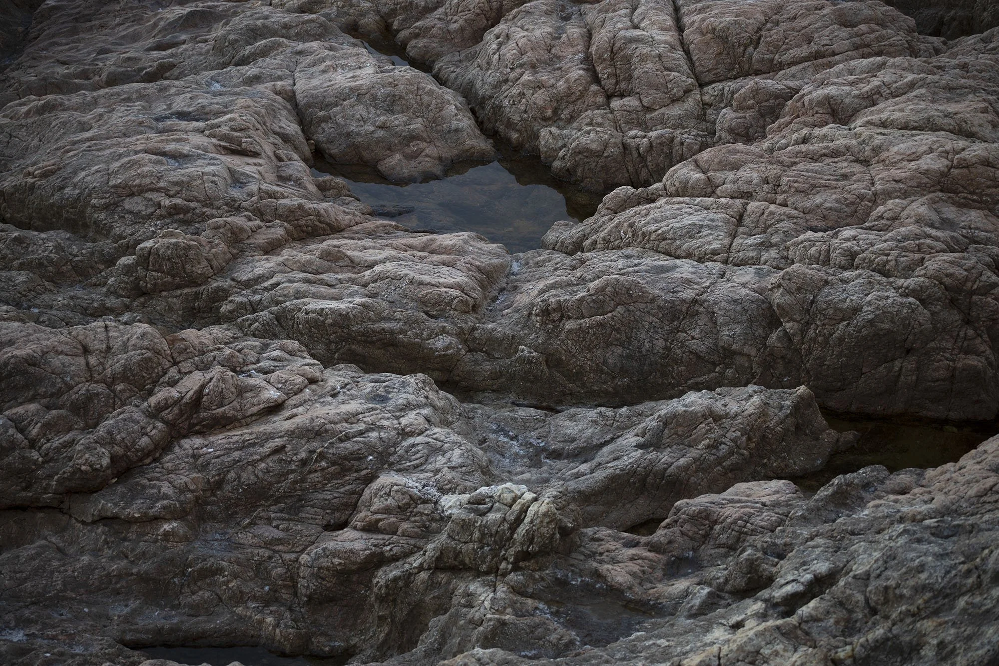 IMG_8860_BAJA_VERWEB.jpg