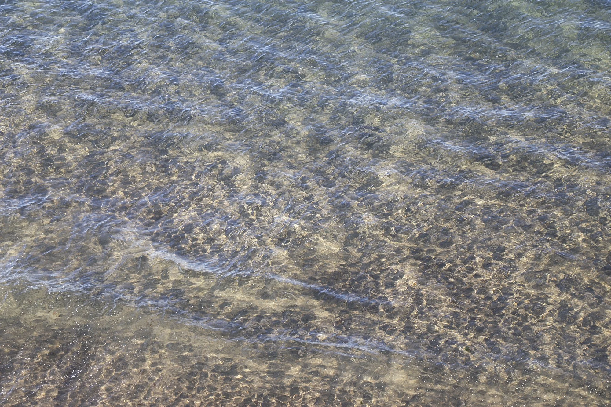 IMG_3885.jpg