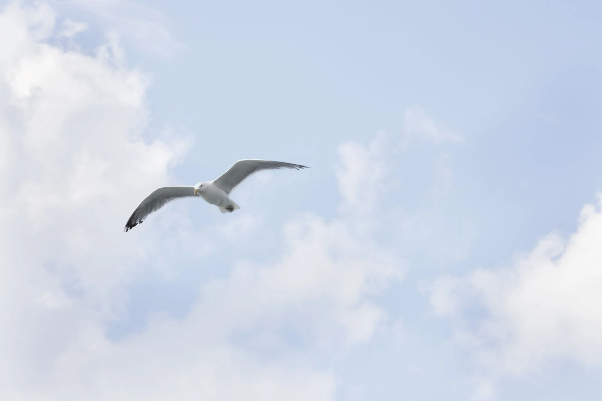 IMG_9290VERWEB.jpg