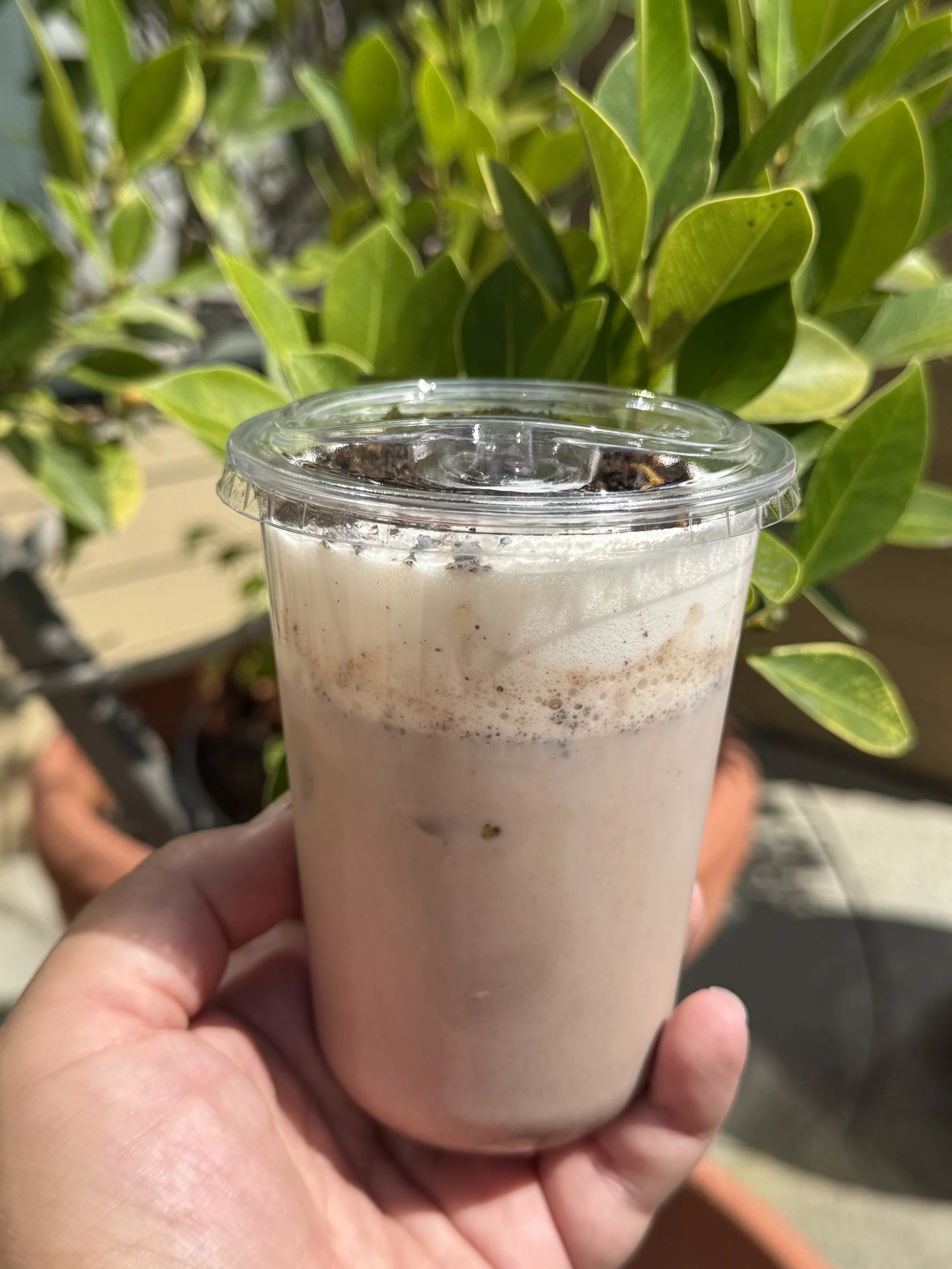 Hand holding a clear plastic cup with a frothy iced coffee or milkshake with chocolate bits on top, in front of green leafy plant.