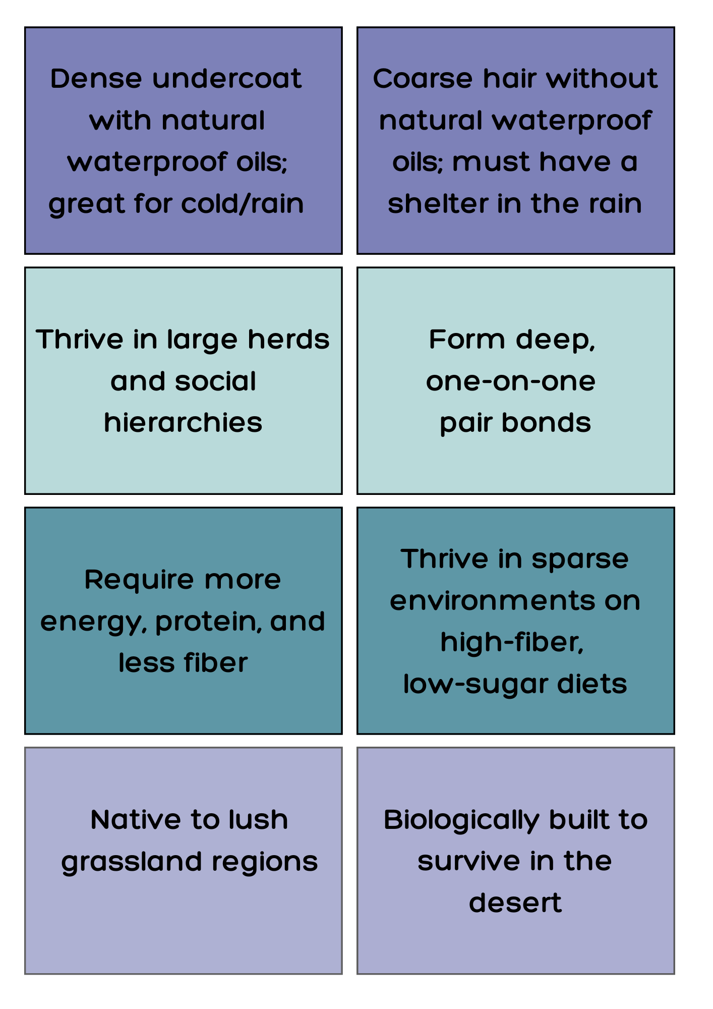 Donkey or Horse - sorting activity