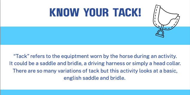 Label Saddle & Bridle