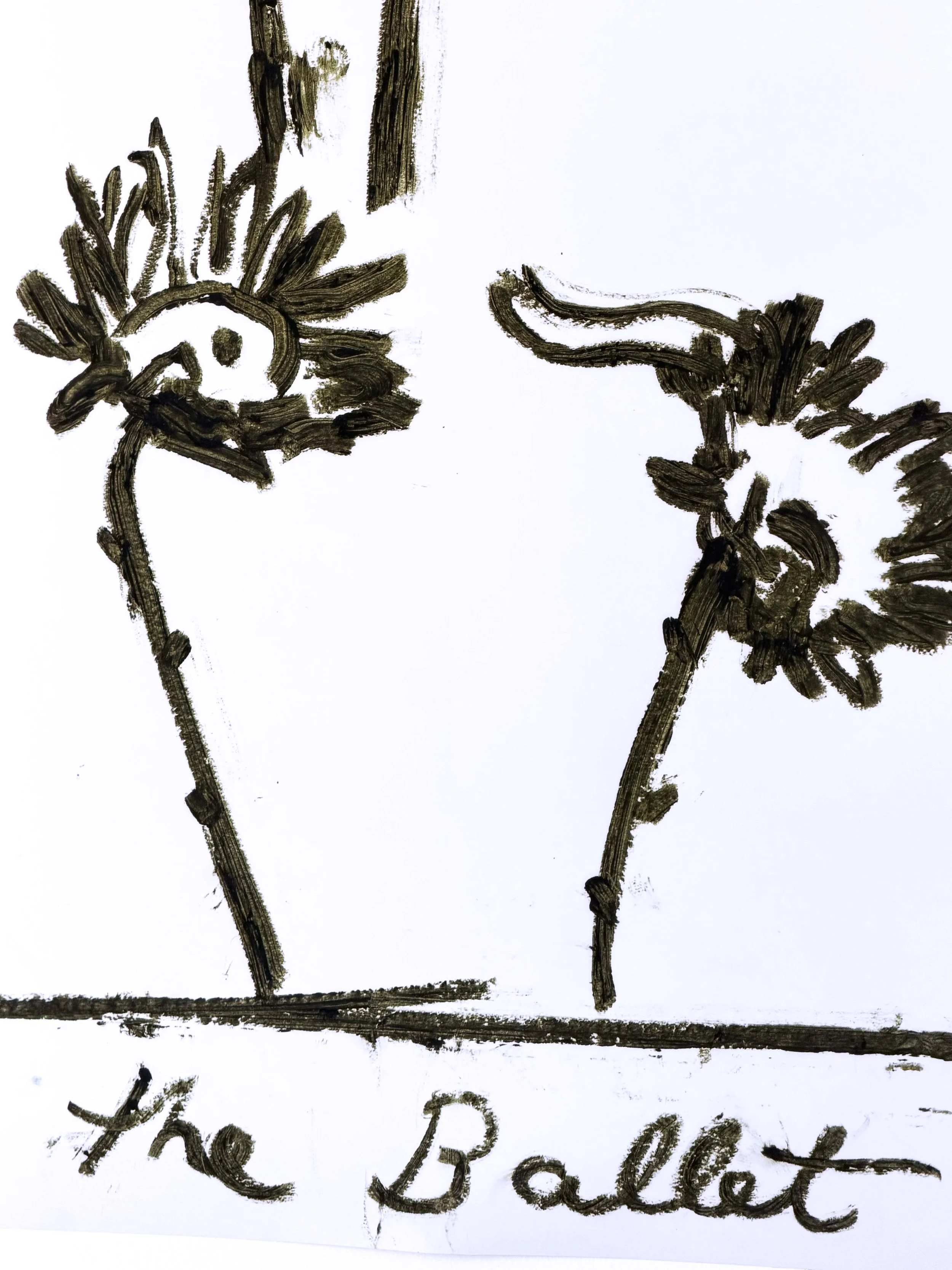 at the ballet detail shot .jpg