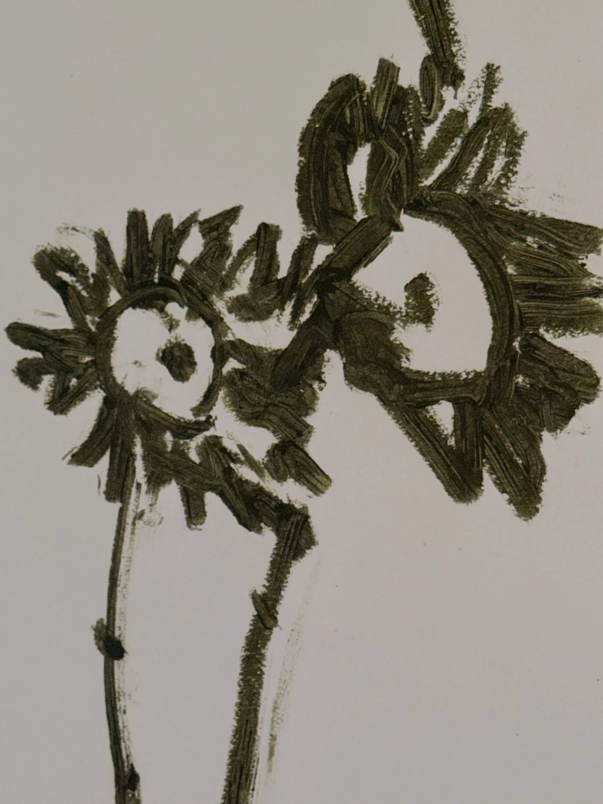 IMG_0041.jpeg