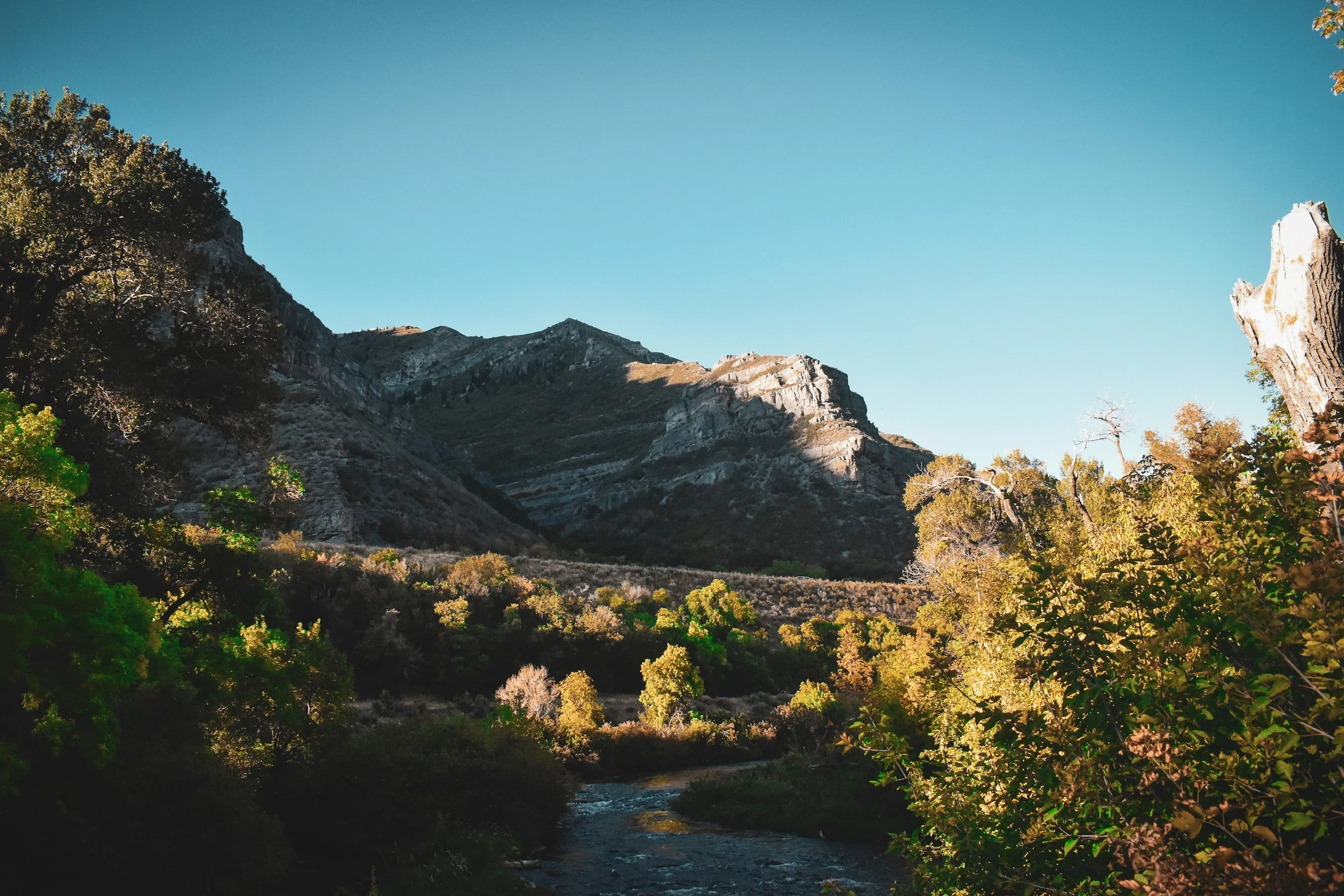 unsplash-image-1kEUwSH6QhU.jpg
