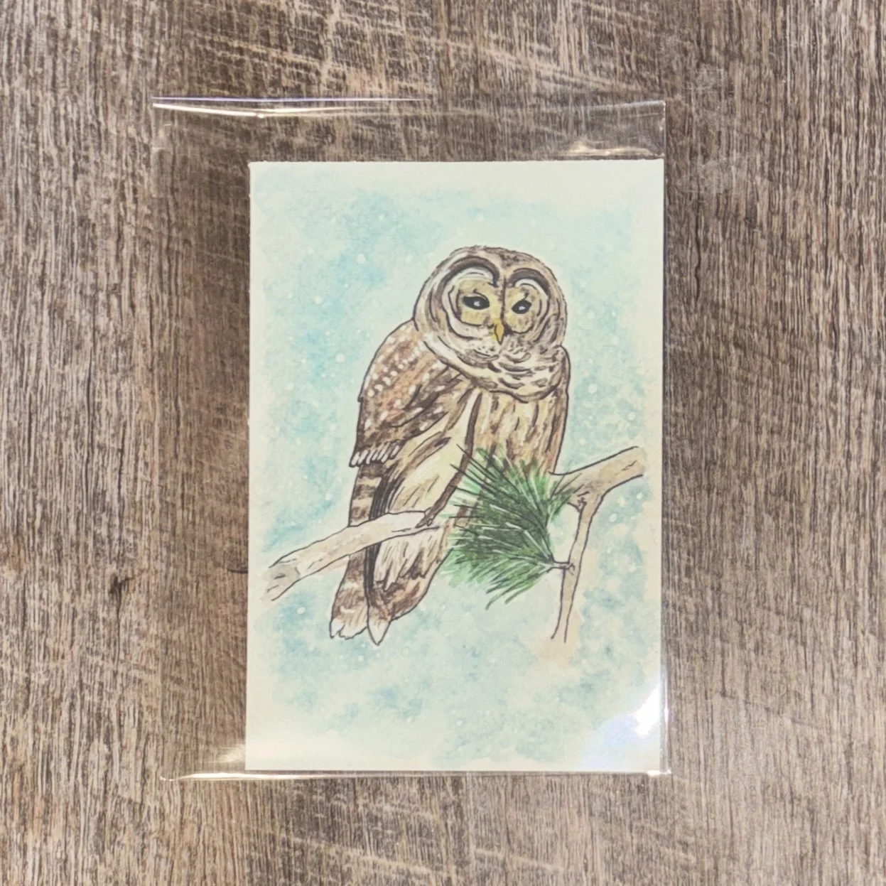 Barred Owl + Pennsylvania Native Pine Print