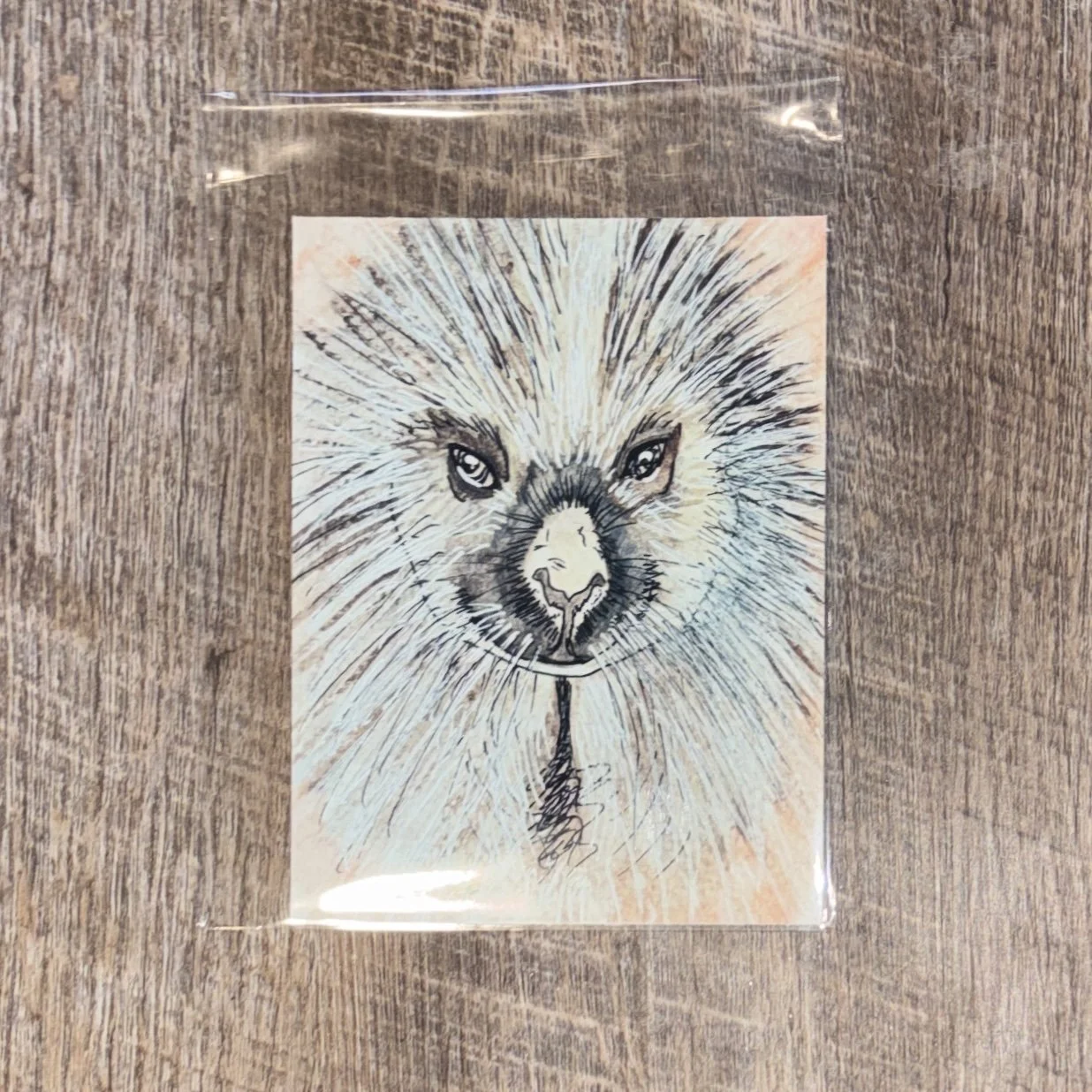 North American Porcupine (Porkie) Print