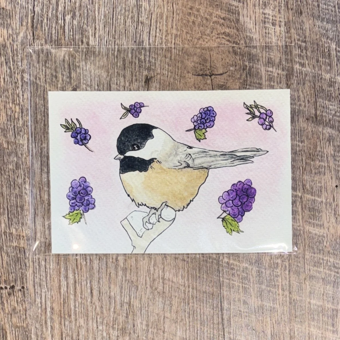 Black-Capped Chickadee + Pennsylvania Native Grapevine Print