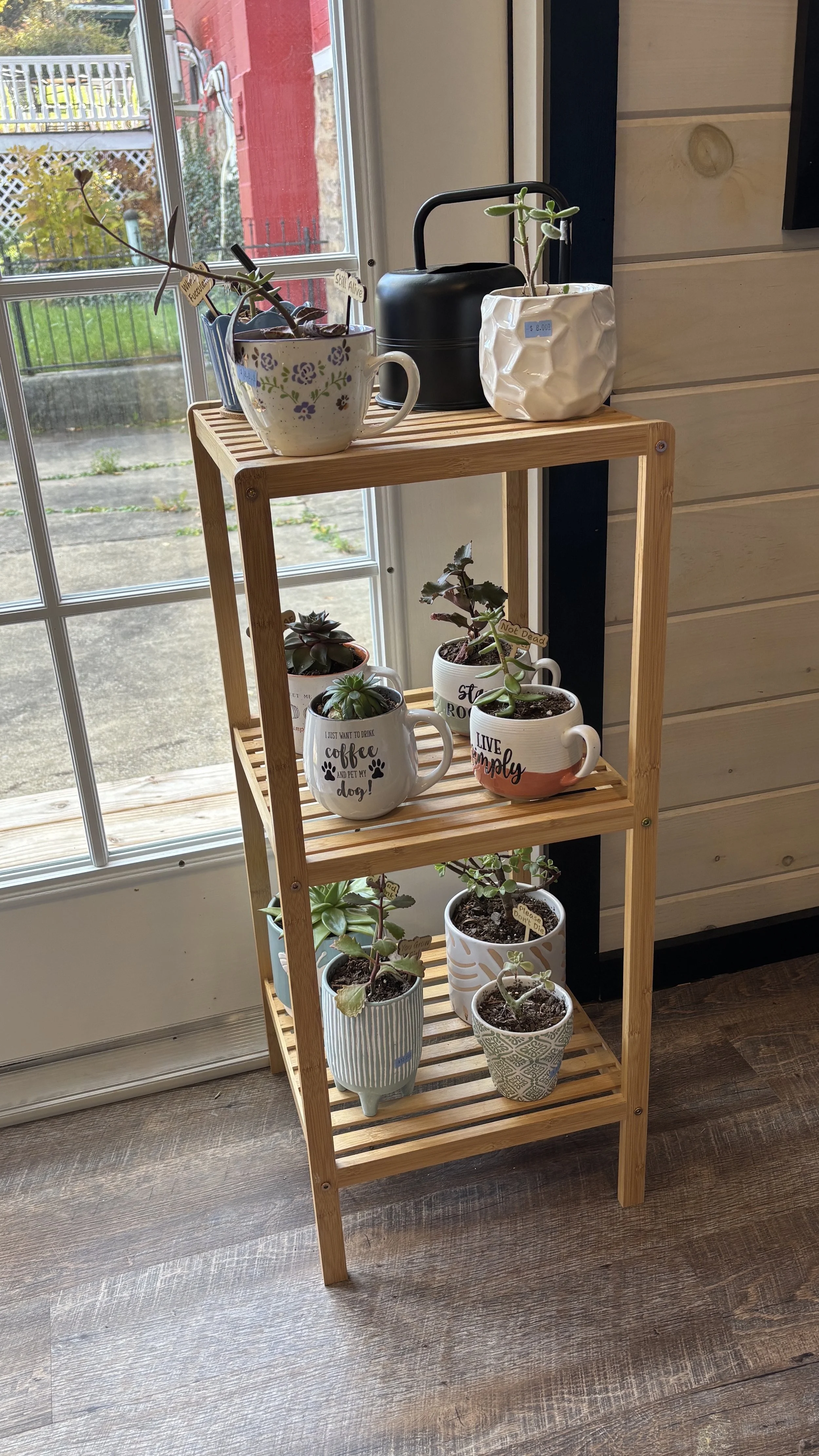 7 - Succulent Stand.JPG