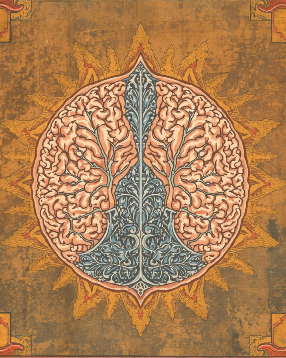 An illustration of a human brain with intricate line work, depicted in a symmetrical design resembling a mandala, with a background of warm earthy tones and decorative border elements.