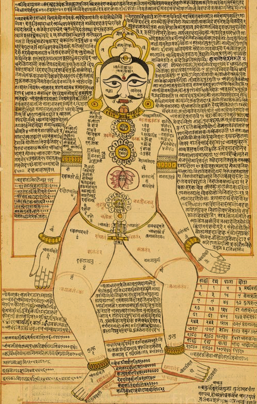 A traditional illustration of a human body diagram with Sanskrit text labels indicating points of energy, chakras, and vital organs, on a yellow background.