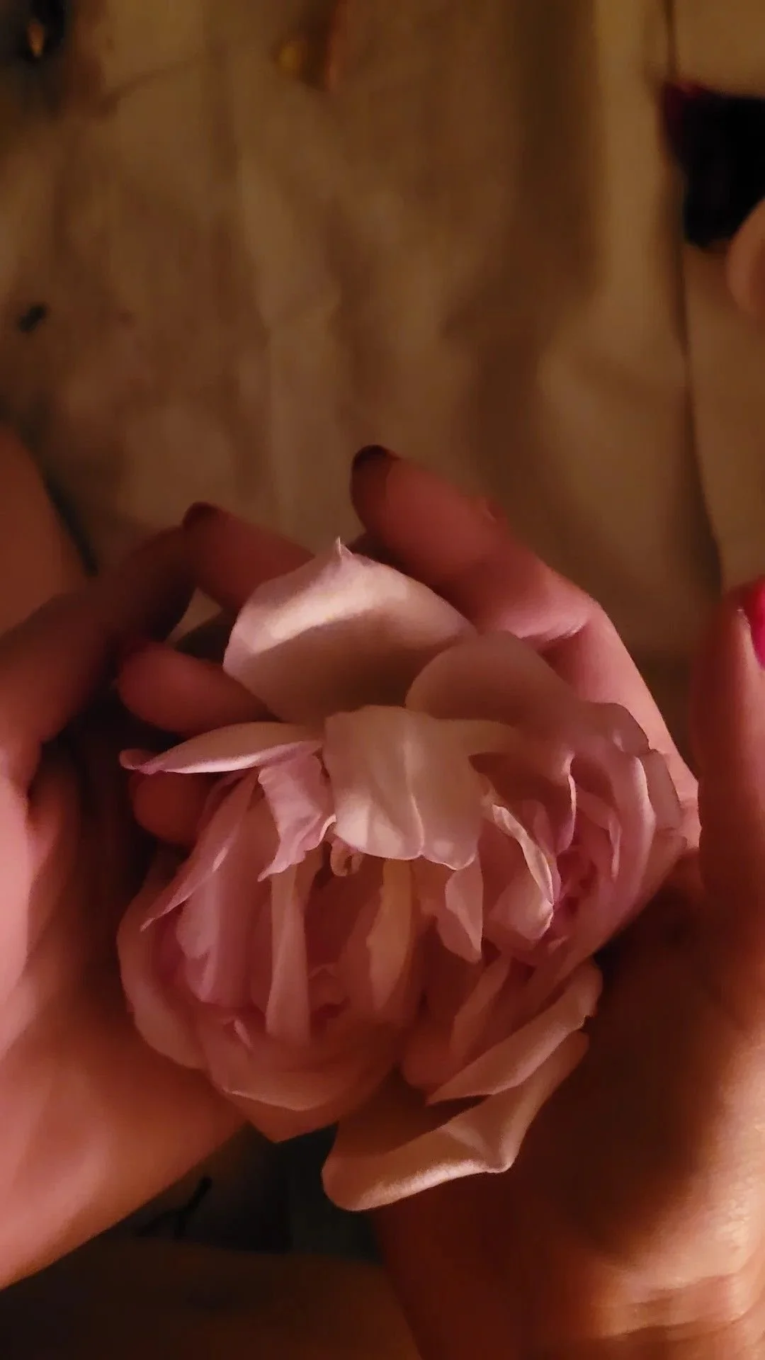 A home for yoga retreats, mindfulness travel, and online yoga. Join live classes, yin yoga, trainings, and self-paced online courses for deeper practice.