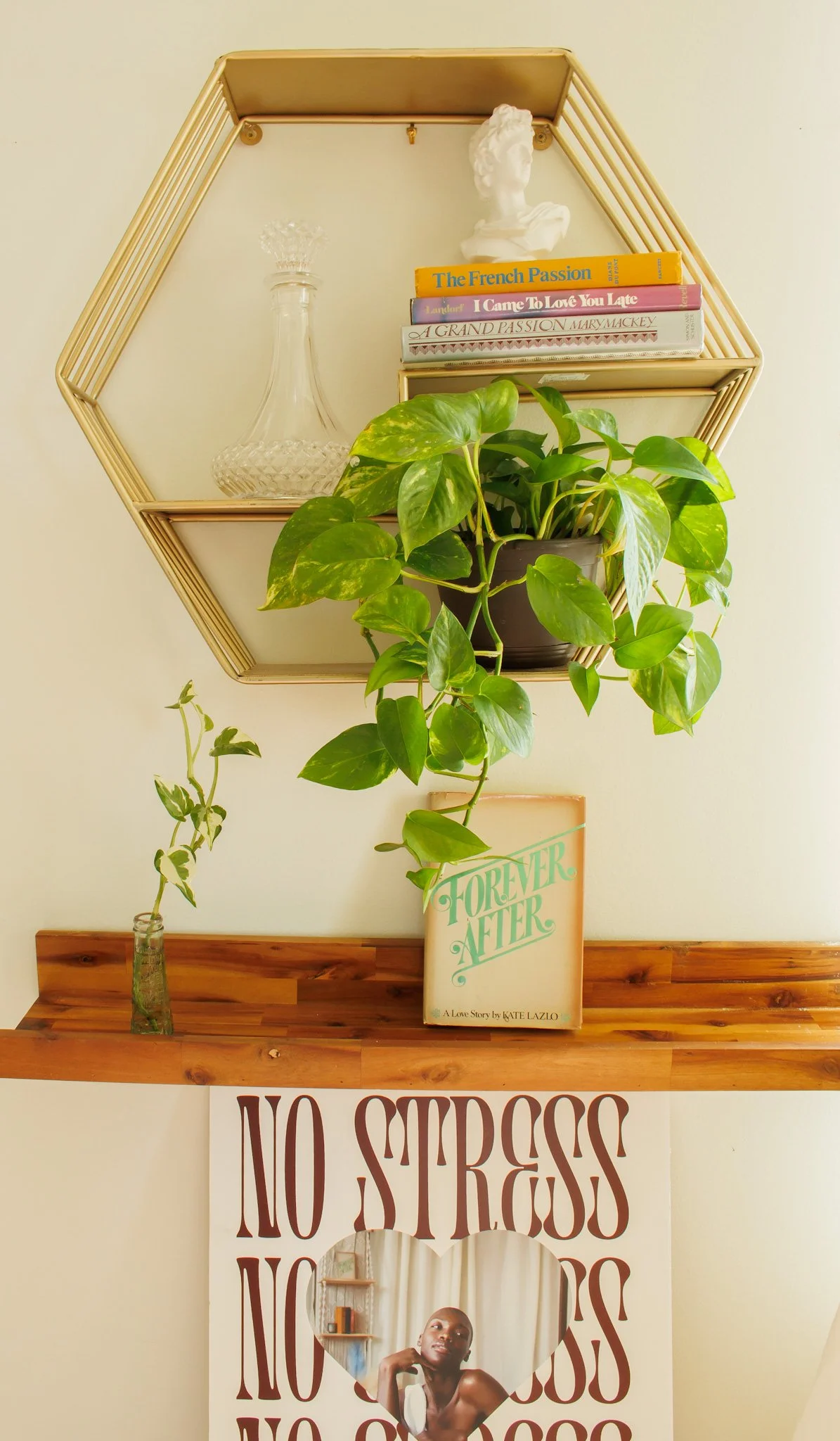 Decorative wall shelf with books, a white bust, a glass decanter, and a large leafy green plant, all arranged on a wooden shelf against a beige wall. Below, a poster features a woman with short hair and the words "NO STRESS" repeated multiple times.