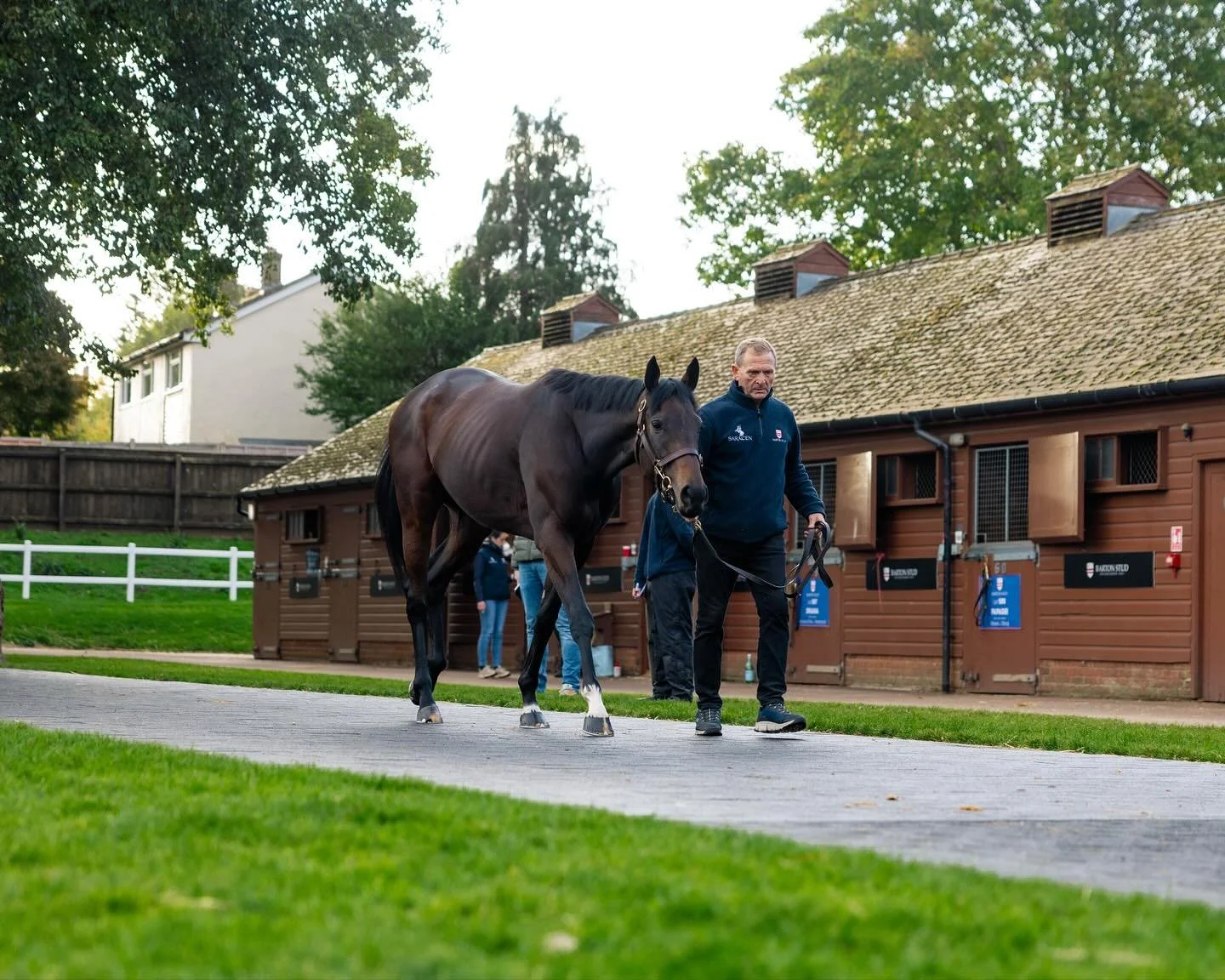 bartonstud_1761649706_3753312236144983106_4506468750.jpg