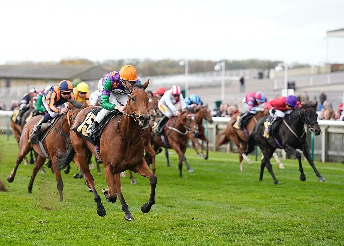 bartonstud_1761929568_3755659884059457389_4506468750.jpg