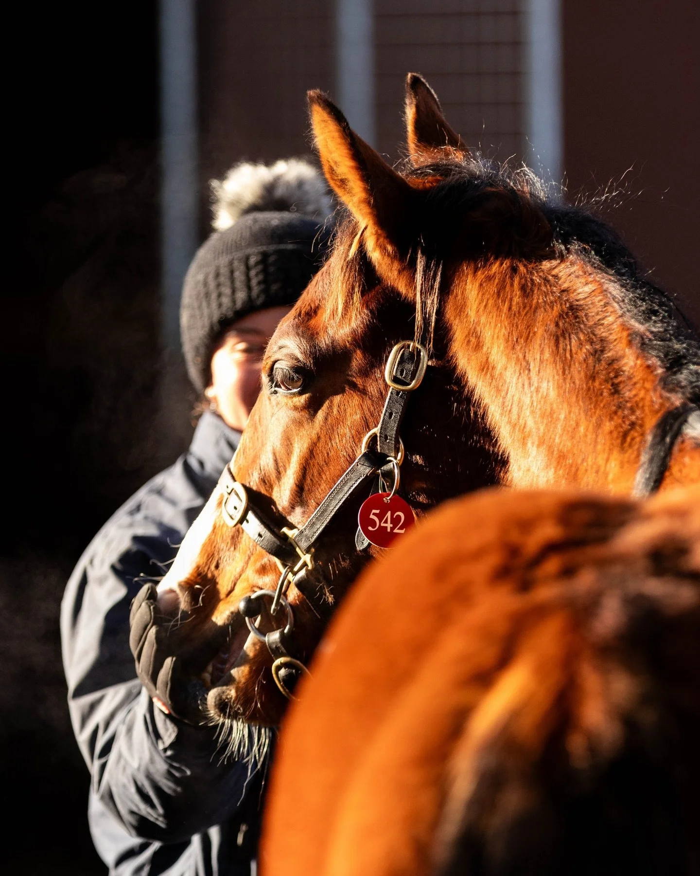 bartonstud_1764273080_3775318687025518875_4506468750.jpg