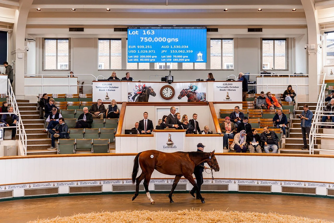 Outflank (Churchill x Enrol).jpg