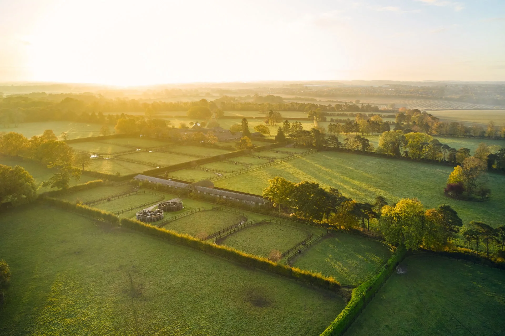 DJI_0605.jpg