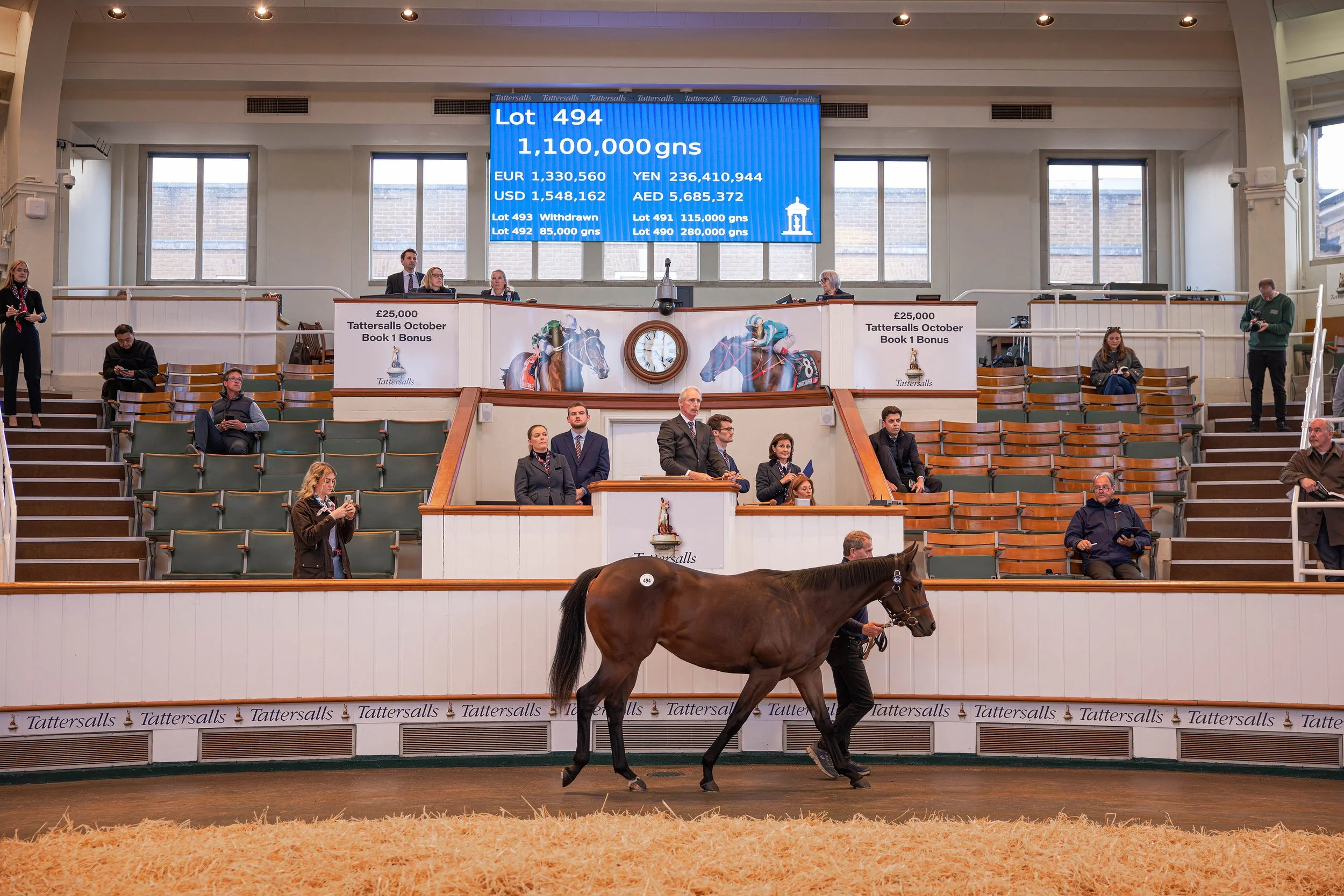 Night Of Thunder x Vesnina.jpg