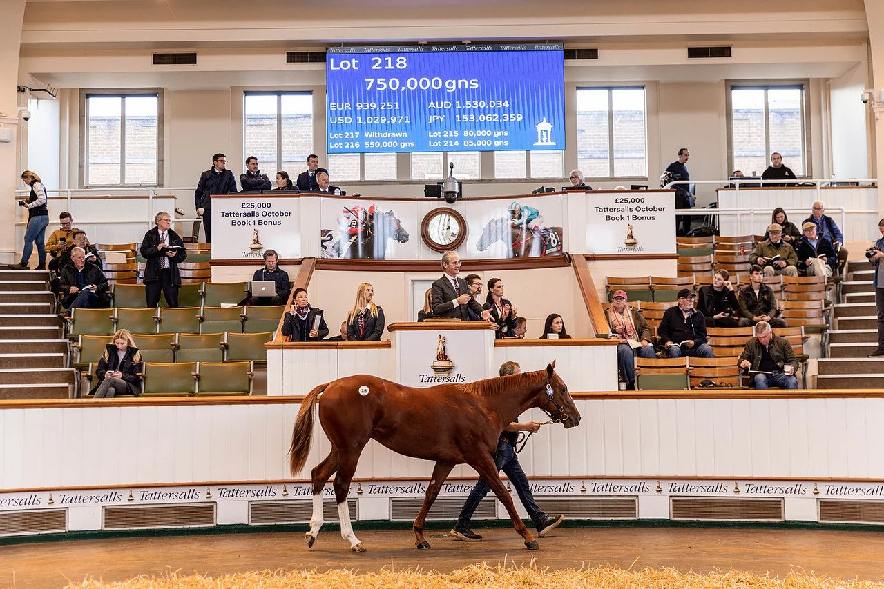 Palladas (Lope De Vega x Isabella).jpg